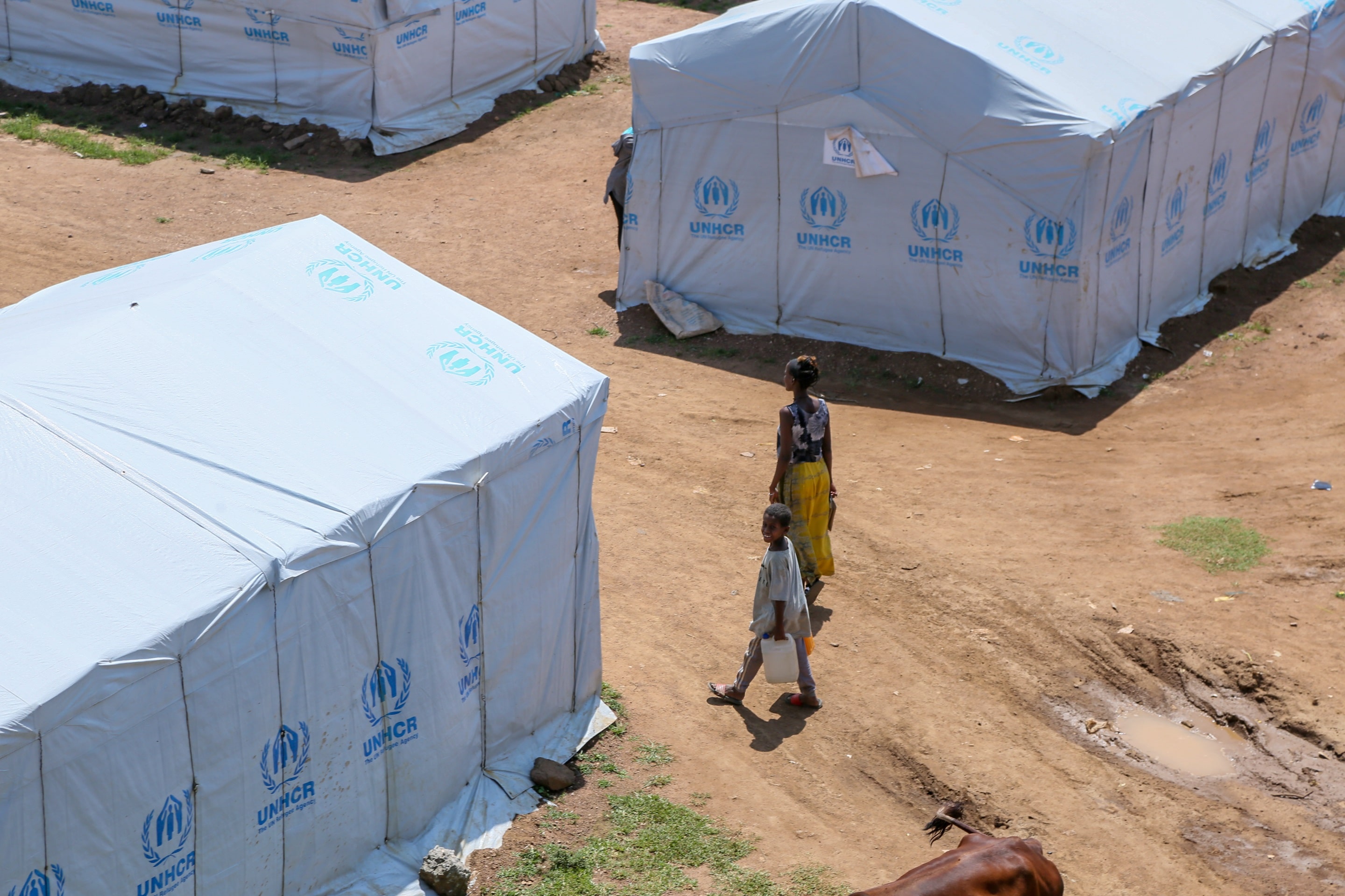 Families displaced by the ongoing conflict in the Tigray region find shelter in an IDP site called Five Angels in Shire where UNHCR has set up shelter to provide a roof to displaced families.